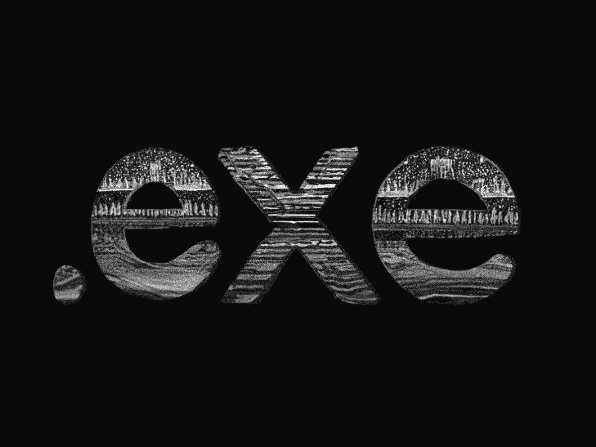 .EXE